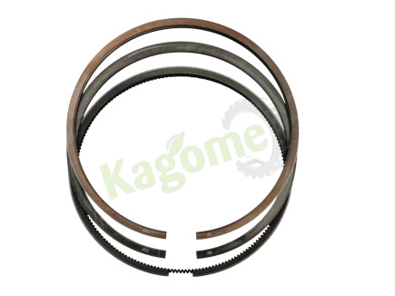 Segmenti motor fi 102x3x2,5x4mm 115.03.070 ; 17138